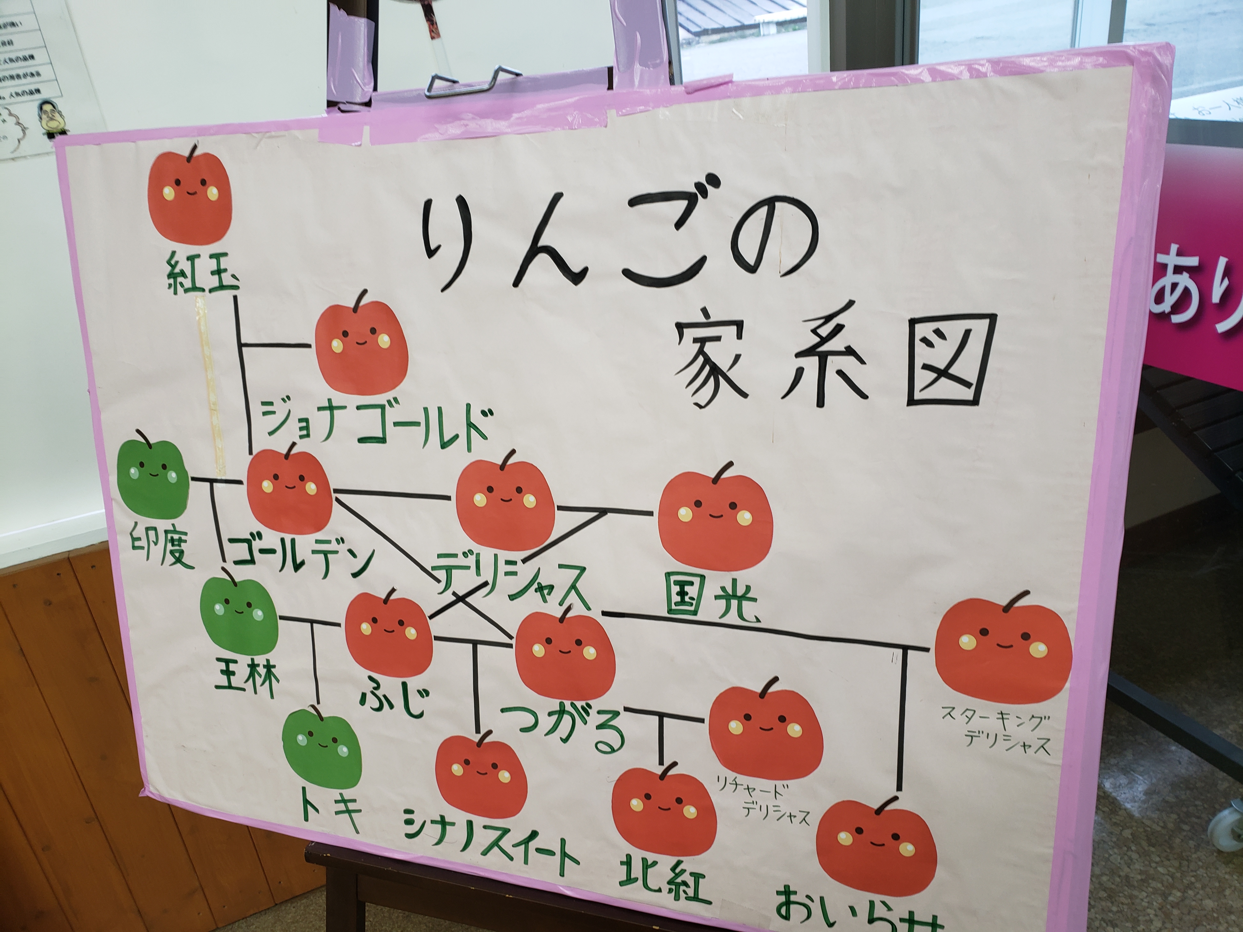 リンゴの家系図展示